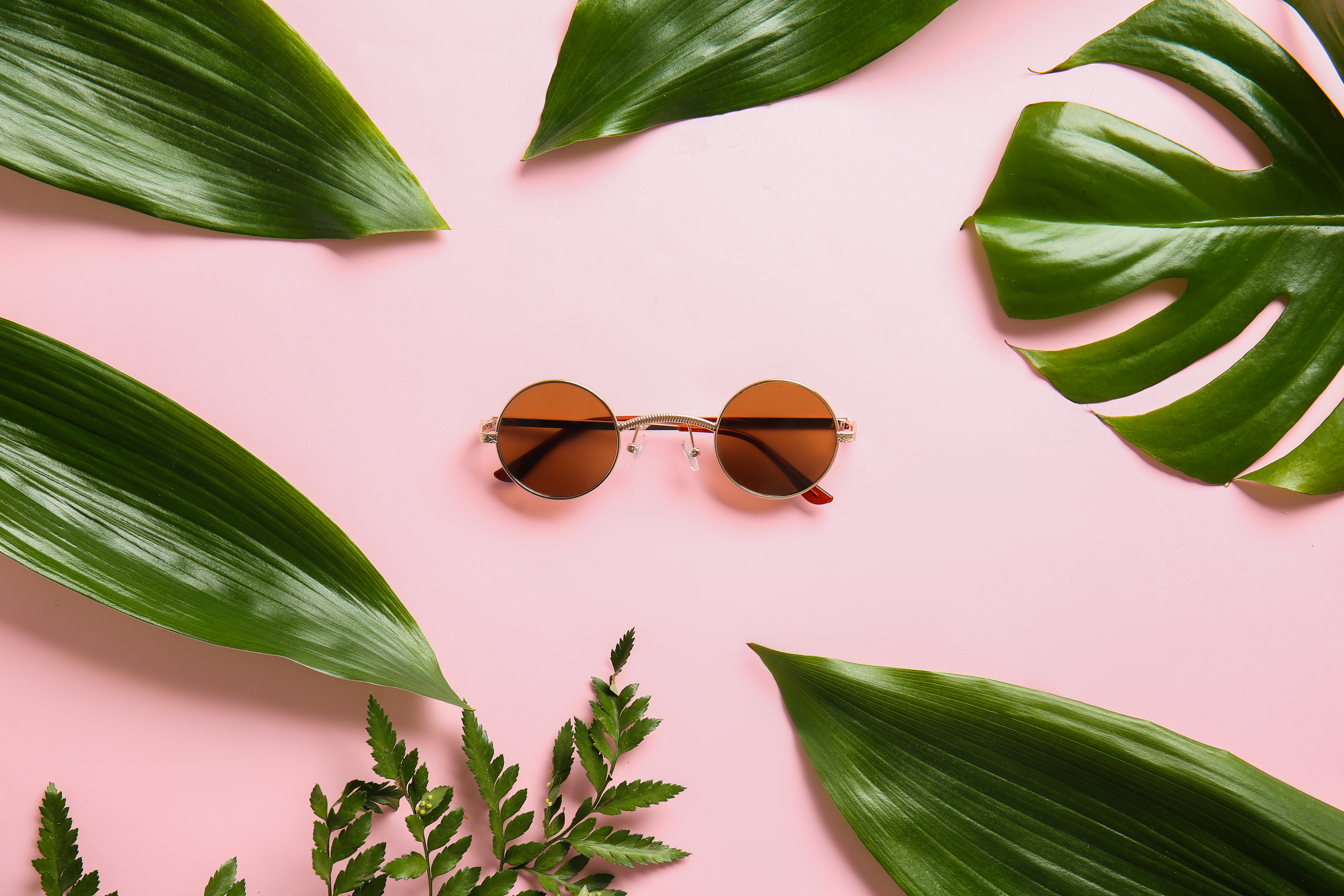 Glasses and sunglasses have becoming an essential accessory in the world of fashion